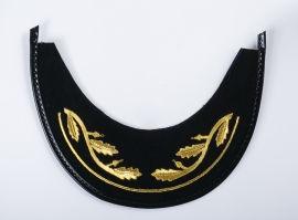 Pala Polícia Militar Coronel Feminina